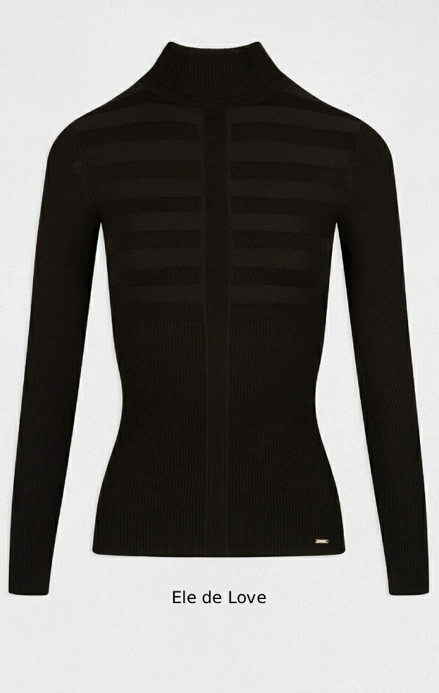 JERSEY CUELLO ALTO NEGRO